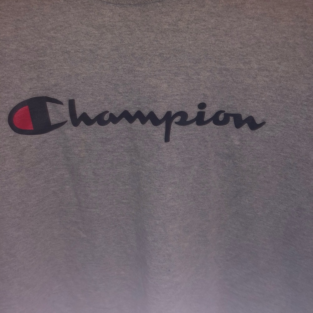 Champions grey scriptures logo - Picture 2 of 5
